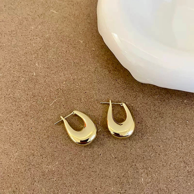Elegant Teardrop Earrings
